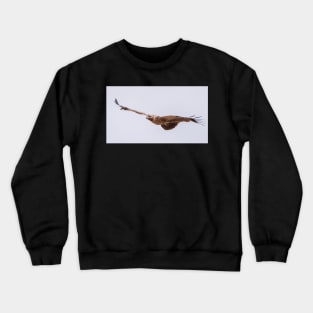 Martial Eagle Crewneck Sweatshirt